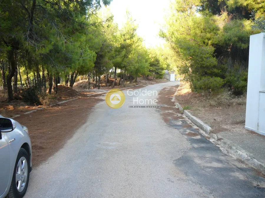 Välivaade - Buildable Plot with Forest View in Kallithea