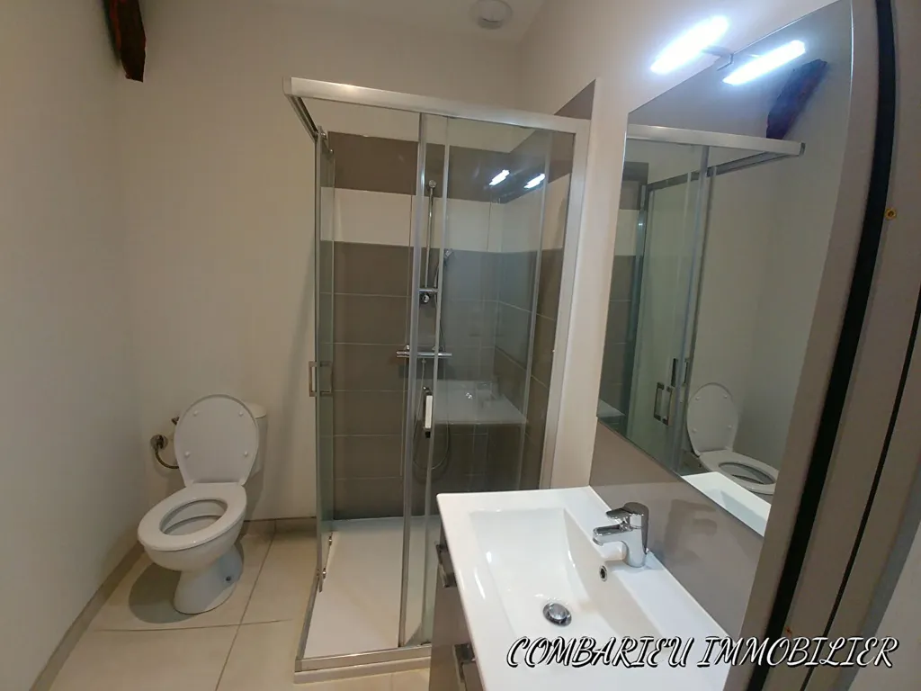 Vannitoad - Duplex Apartment in Caussade Centre