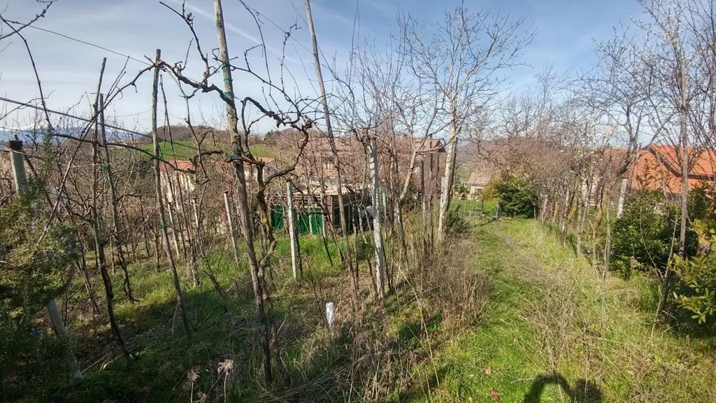 Jardin - Apartment with Private Garden in Zocca