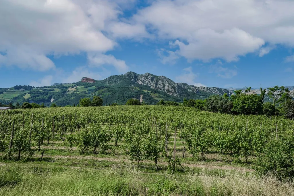 Jardin - Rustic House with Historic View in Brisighella