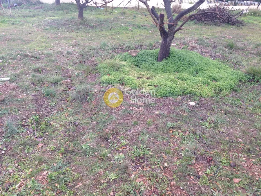 Aed - Plot with Unrestricted View in Kalivia - Lagoni