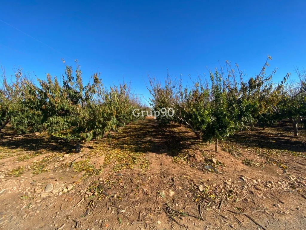 Jardin - Pig Farm with Cultivation in Cabanes