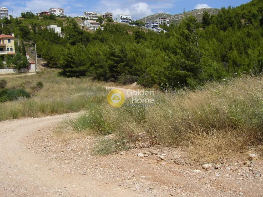 Jardin - Corner Plot House with Sea View in Diony