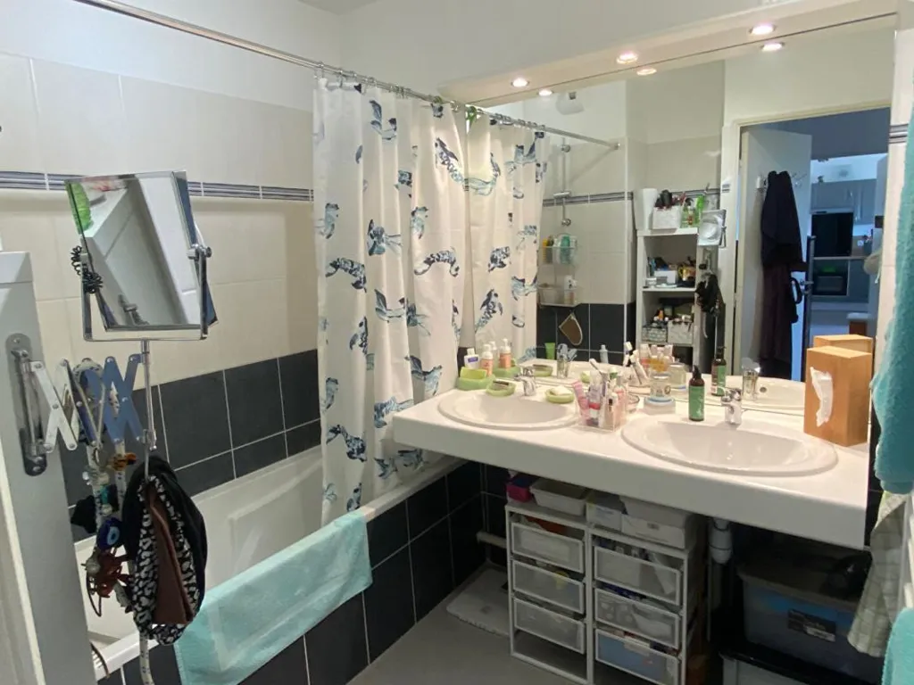 Salles de bain - Appartement Lumineux avec Terrasse et Garage