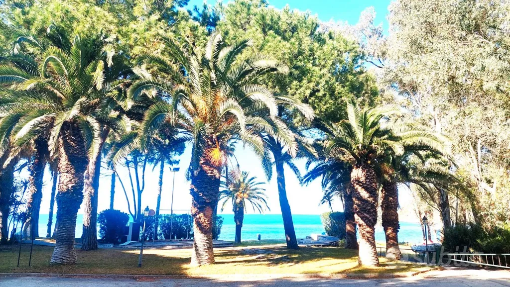 Villa with Panoramic Balcony in Baia di Arcile