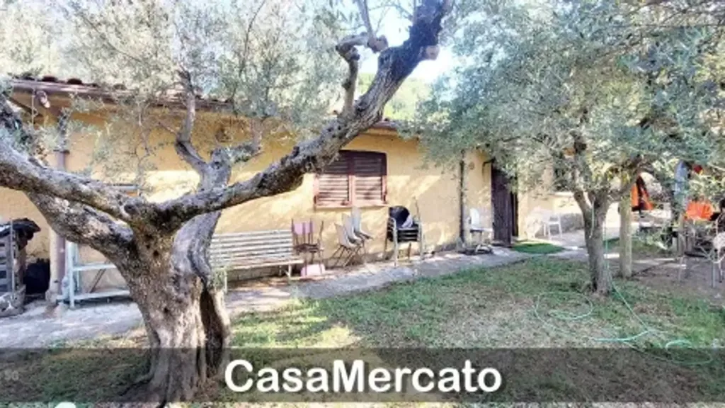 Välivaade - Loft with Garden in Grottaferrata