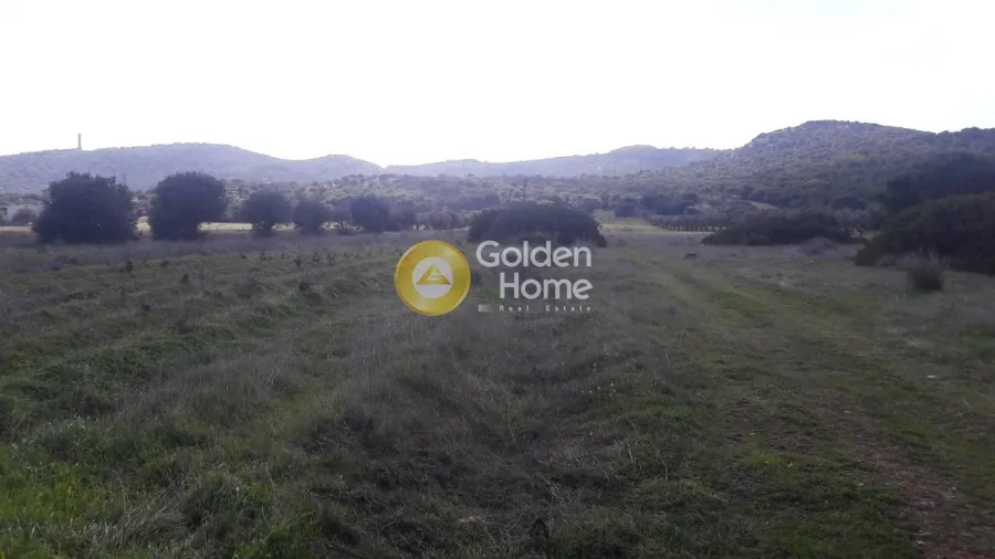 Land in GR