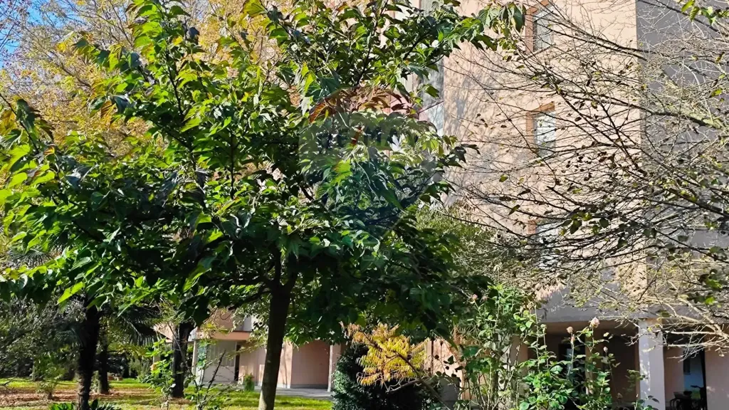 Extérieur - Apartment with Balcony in Carpi
