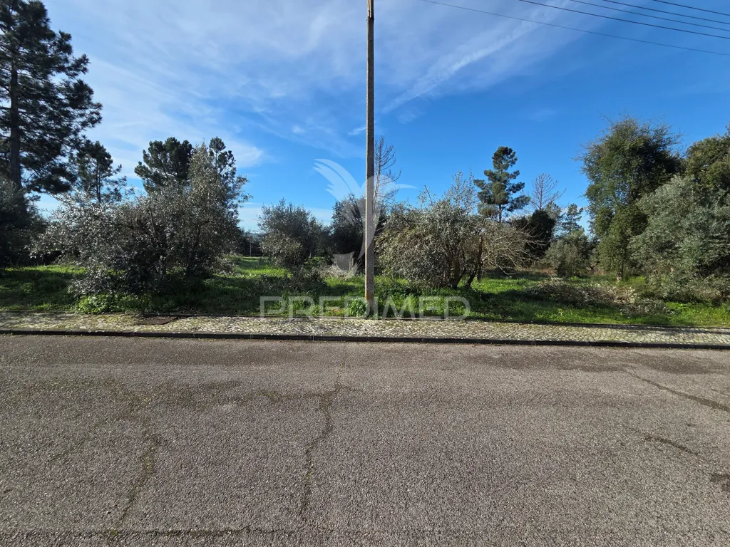 Aed - Urban Plot with Construction Permit in Ribatejo