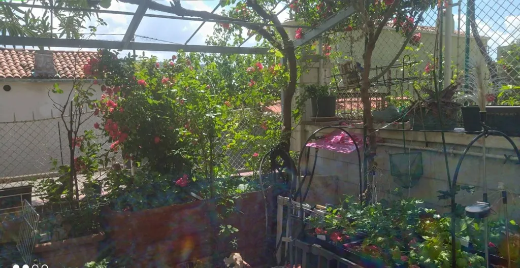 Aed - Apartment with Private Garden in Trieste