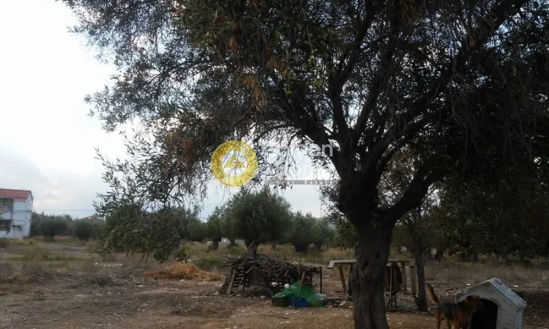 Aed - Plot with Building in Aspropyrgos Centre