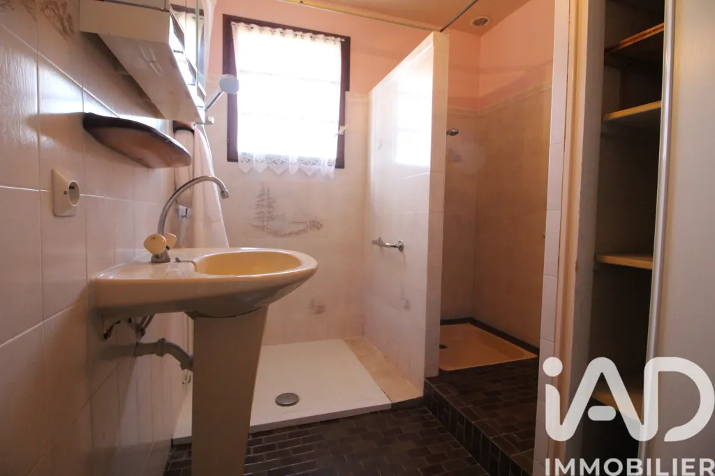 Vannitoad - Traditional House with Pool near Chatellerault