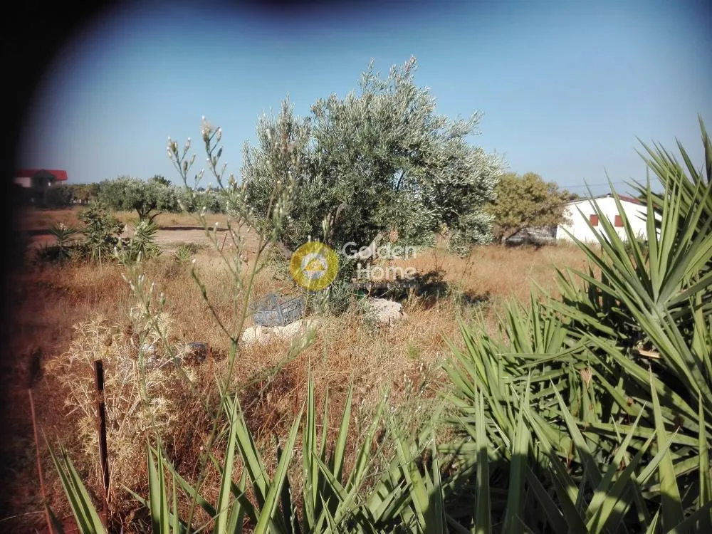 Jardin - Plot with Mountain View in Spata - Agia Kyriaki
