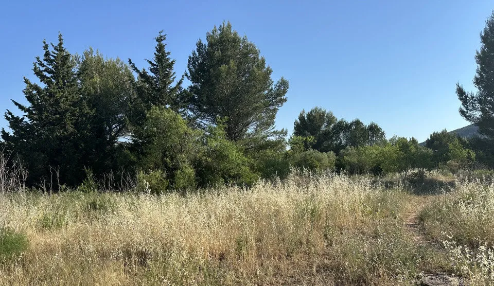 Jardin - Maison à Construire avec Jardin à Cuers