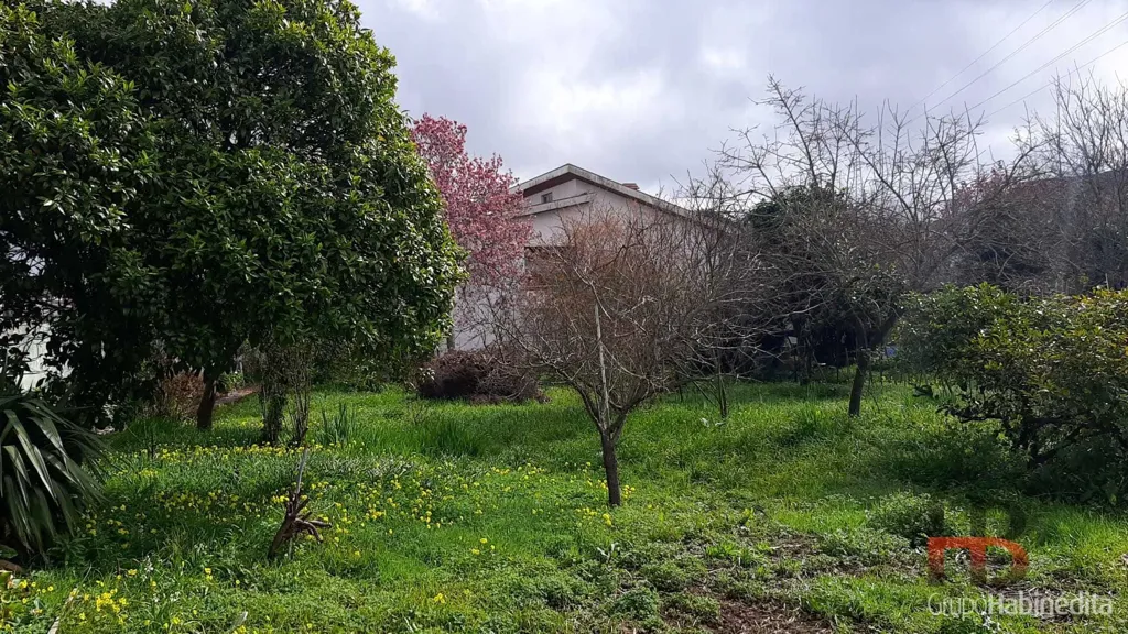 Jardin - Contemporary Villa with Pool in Vila Nova de Gaia