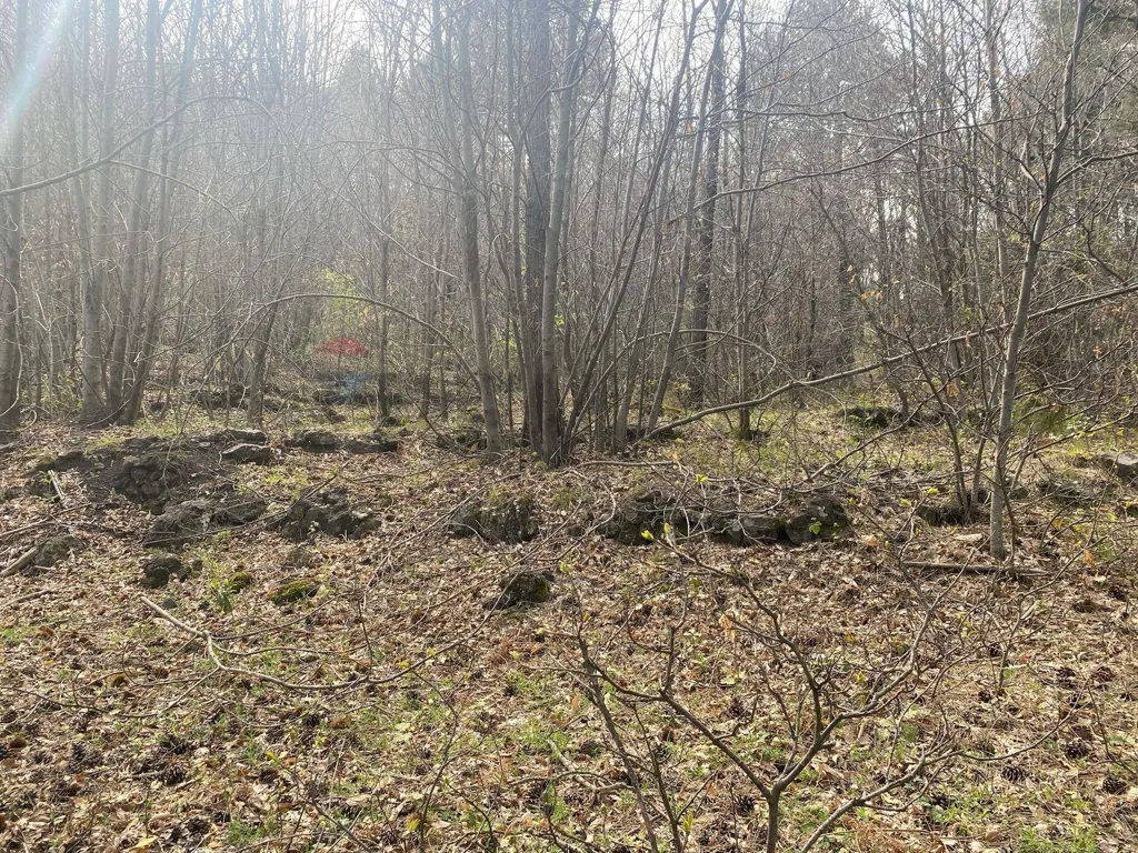 Aed - Land with Edificable Area in Linguaglossa