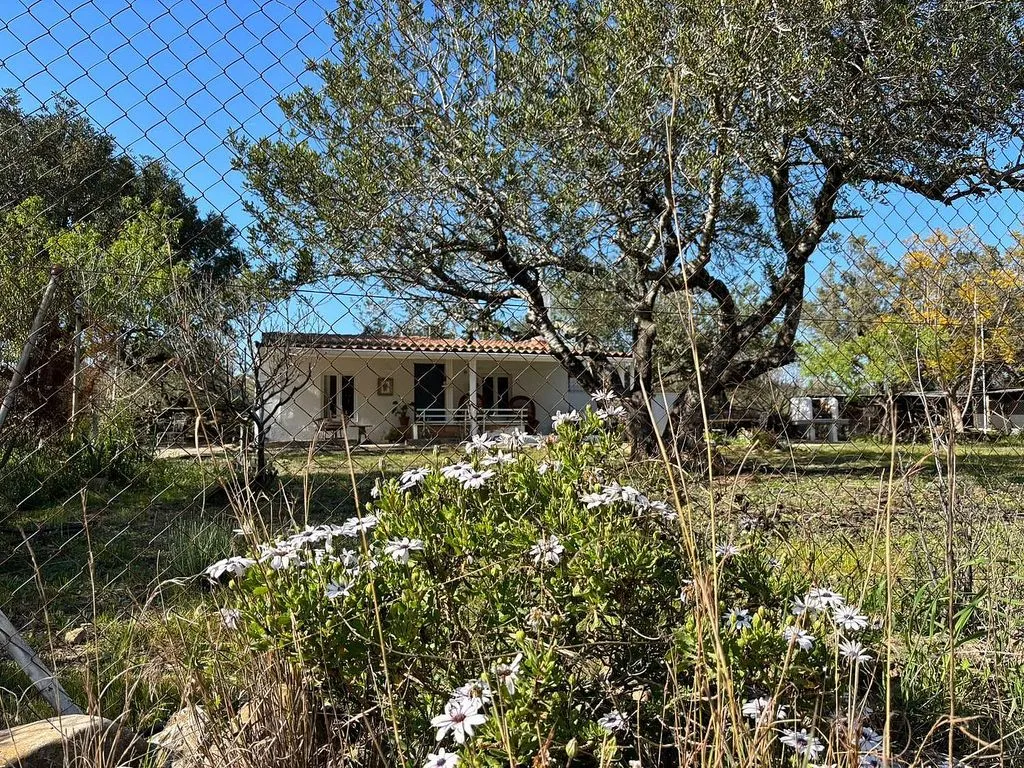 Extérieur - Rustic Cottage with Mediterranean Garden in Mont-Roig