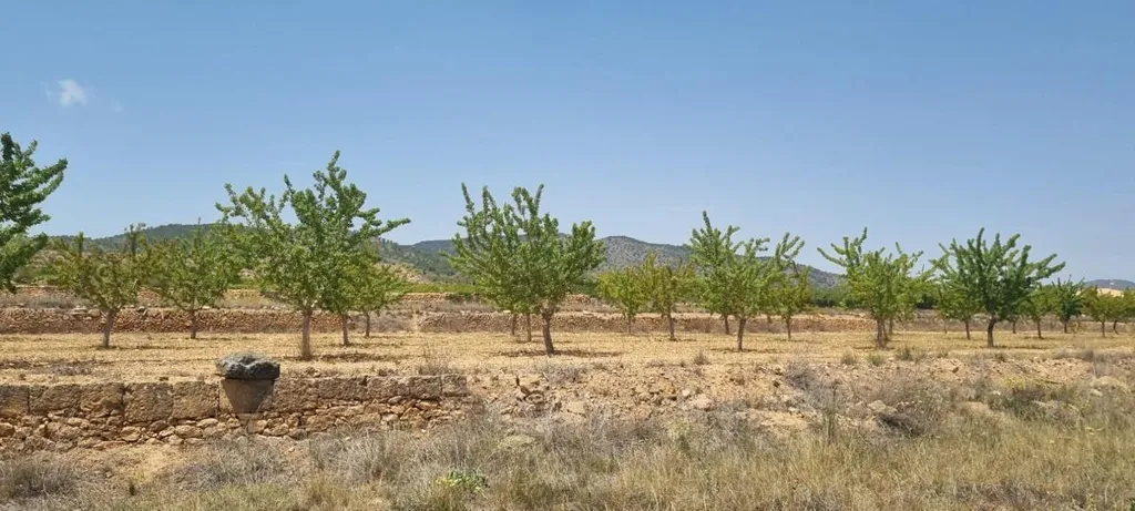 Jardin - Building Plot with Vineyard Views near Yecla