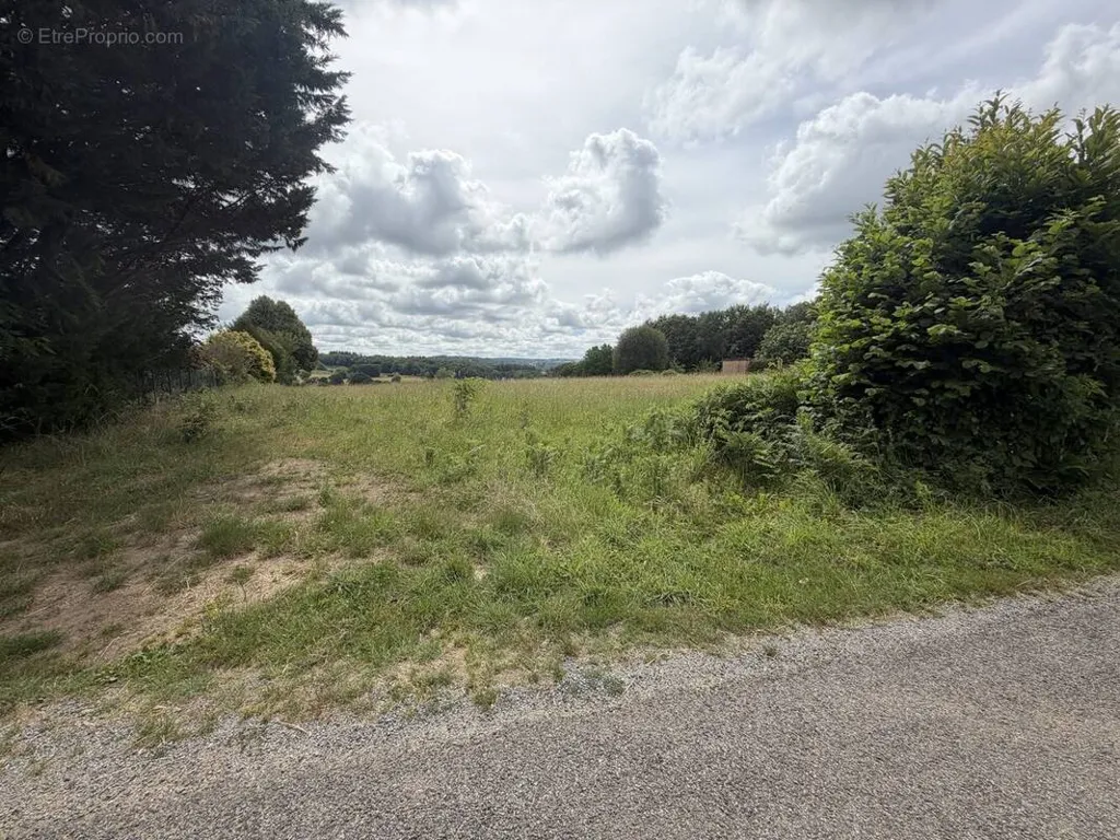 Jardin - Terrain Constructible à Linards, Proche de Châteauneuf-la-Forêt