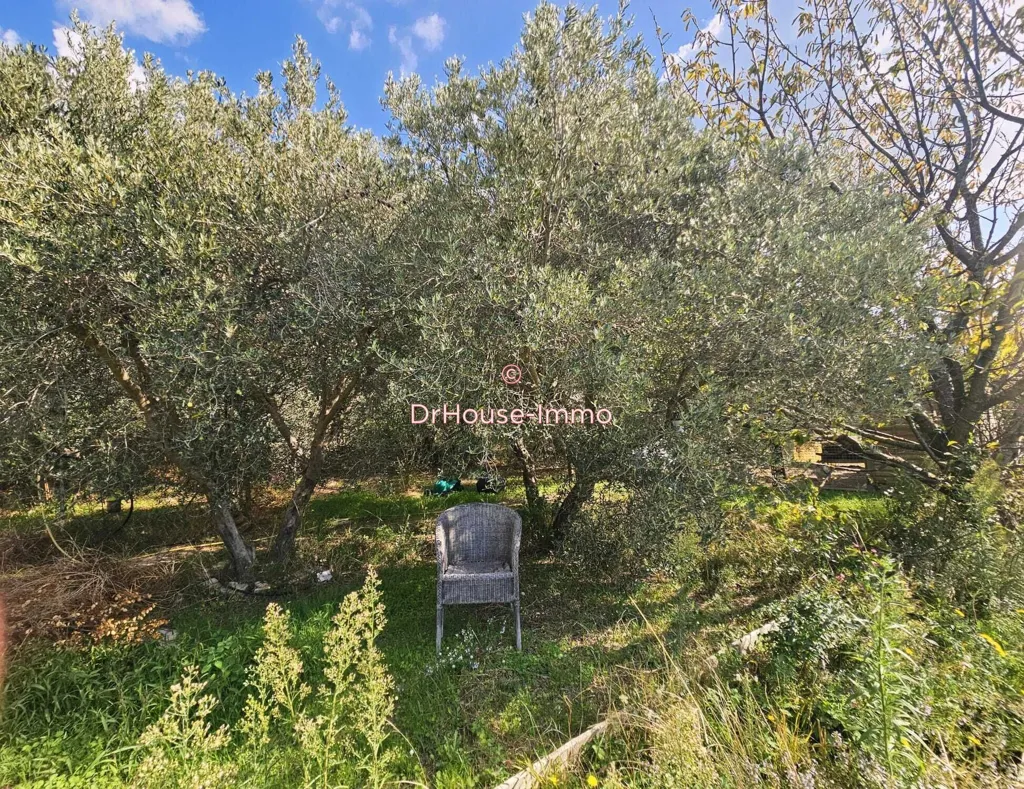 Jardin - Maison avec Piscine et Vue à Marseille-13e