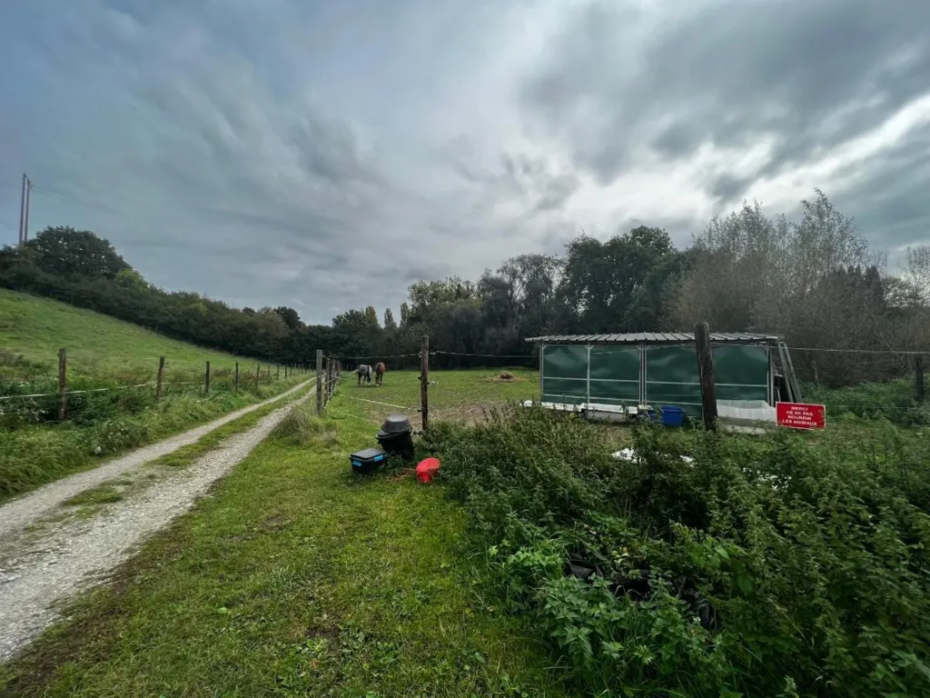 Garden - 2ha Natural Retreat in Rural Setting