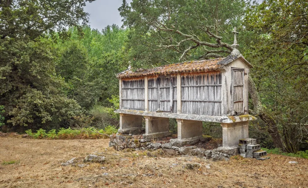Esterno - Restoration Opportunity with Forest in Silleda