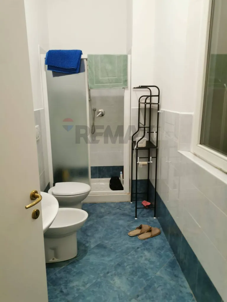 Vannitoad - Shared Flat with Terrace in Bologna