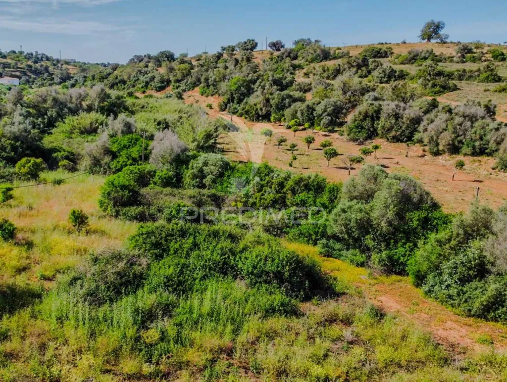Õhuvaade - Ruined Property with Large Plot in Alcantarilha