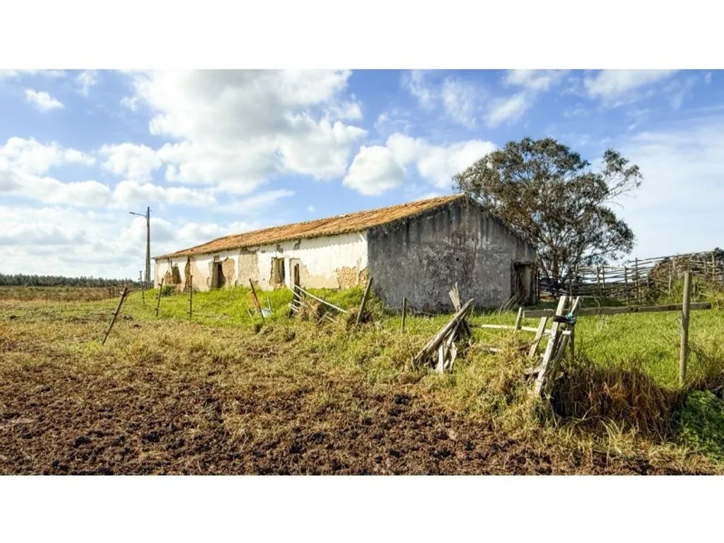 Extérieur - Mixed-use Farm with Sea View in Odeceixe