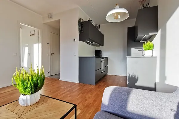 Séjour - Appartement 2 pièces à Tartu
