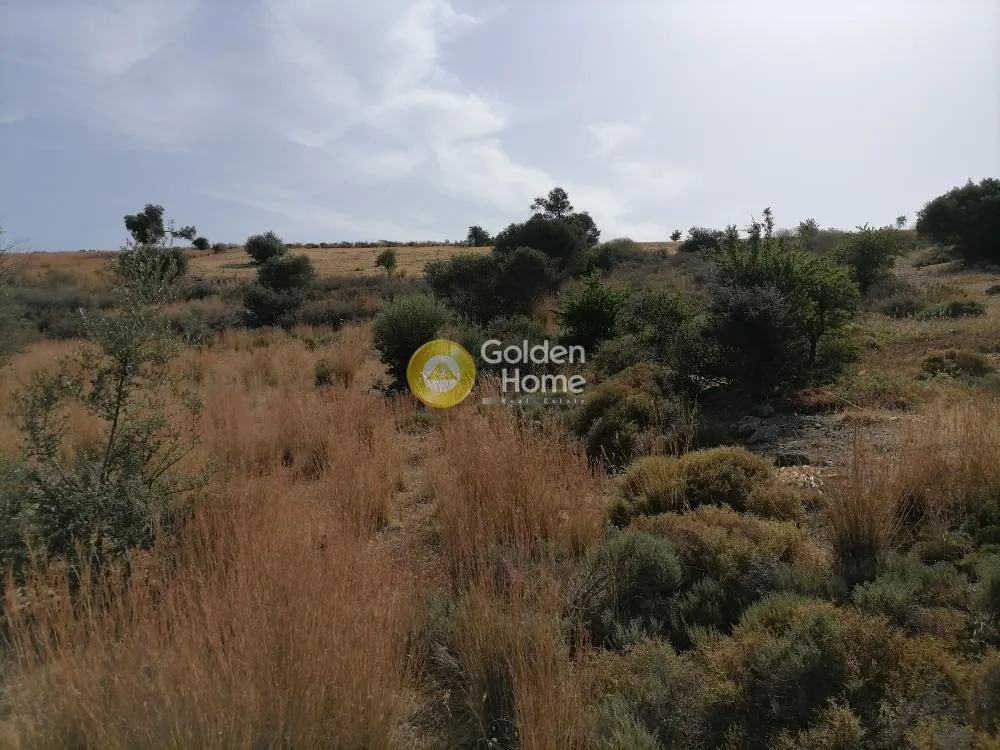 Jardin - Agricultural Plot with Mountain View in Phaistos