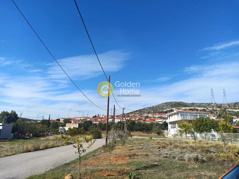 Aed - Agricultural Plot with Olive Potential in Ano Liosia
