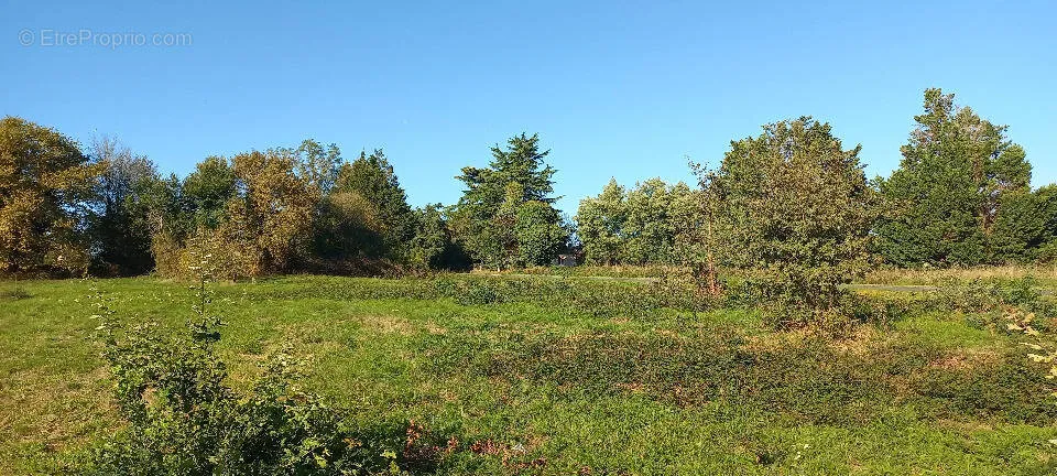 Jardin - Terrain Constructible avec Jardin à Saint-Rémy