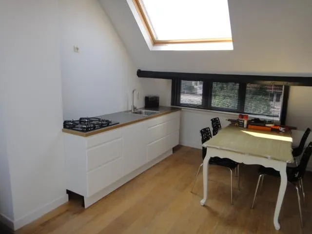 Köök - Compact Apartment with Garden Access in Eindhoven