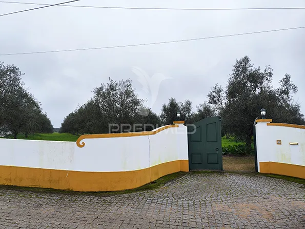 Extérieur - Remodelled Quinta with Olive Grove in Avis