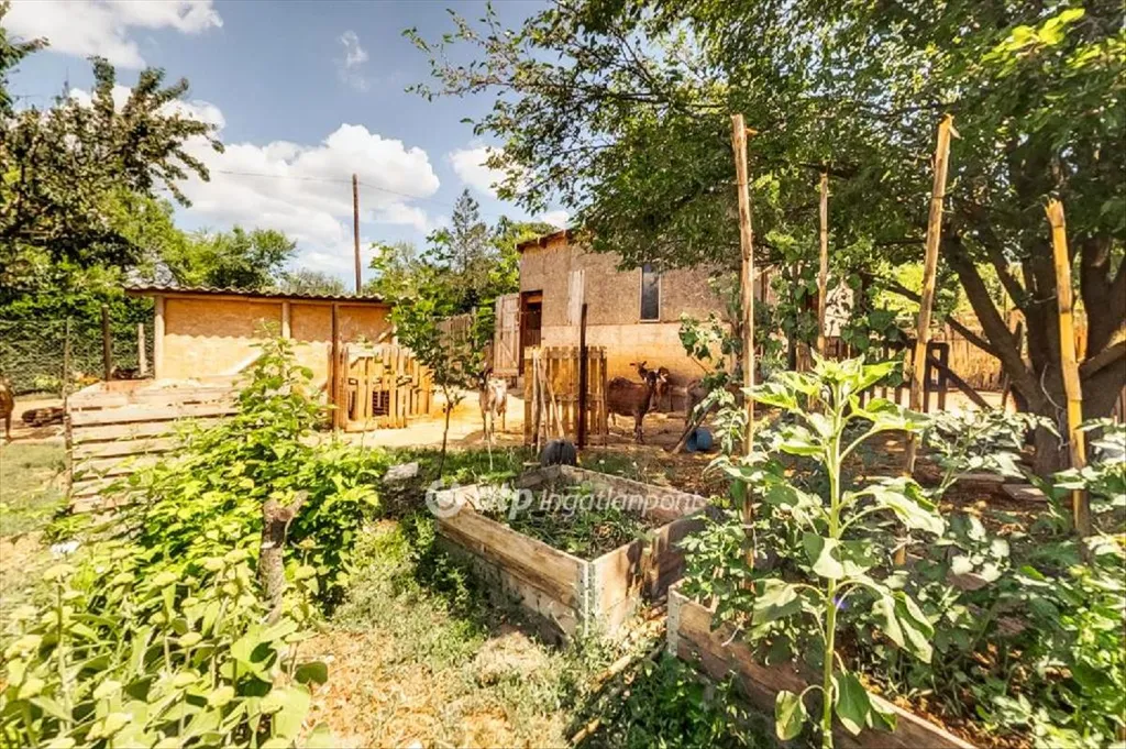 Jardin - Three-Storey House with Large Plot in Sóskút