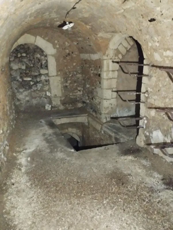 Toad - Historic Family Home in Châteaudun