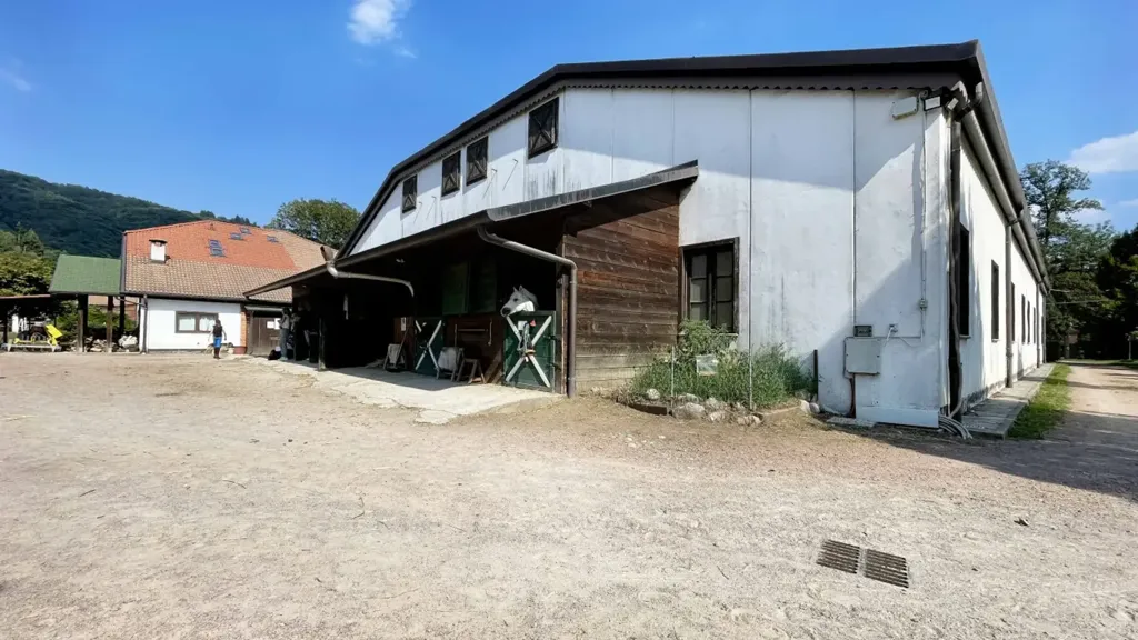 Villa with Equestrian Centre in Ameno