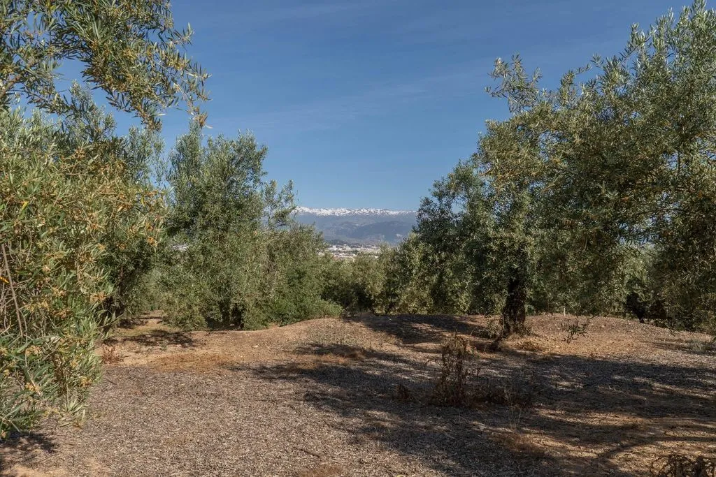 Aed - Buildable Land with Granada Views in Albolote