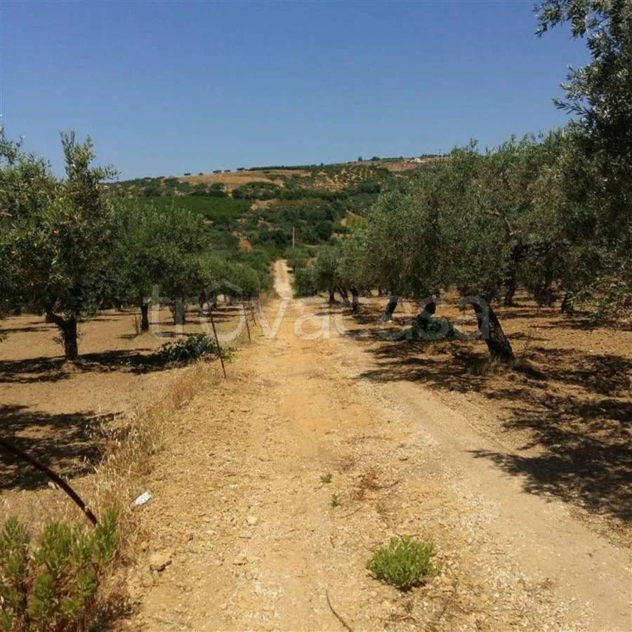 Jardin - Rustic Casale with Olive Grove in Sciacca