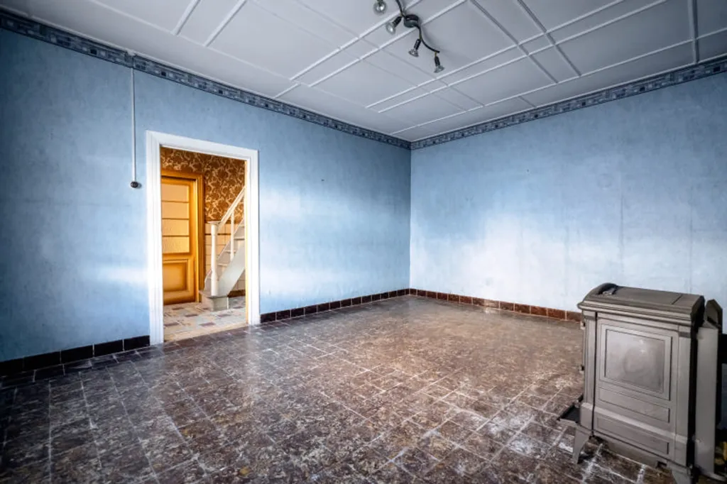 Toad - Renovatable House with Garden in Wonck