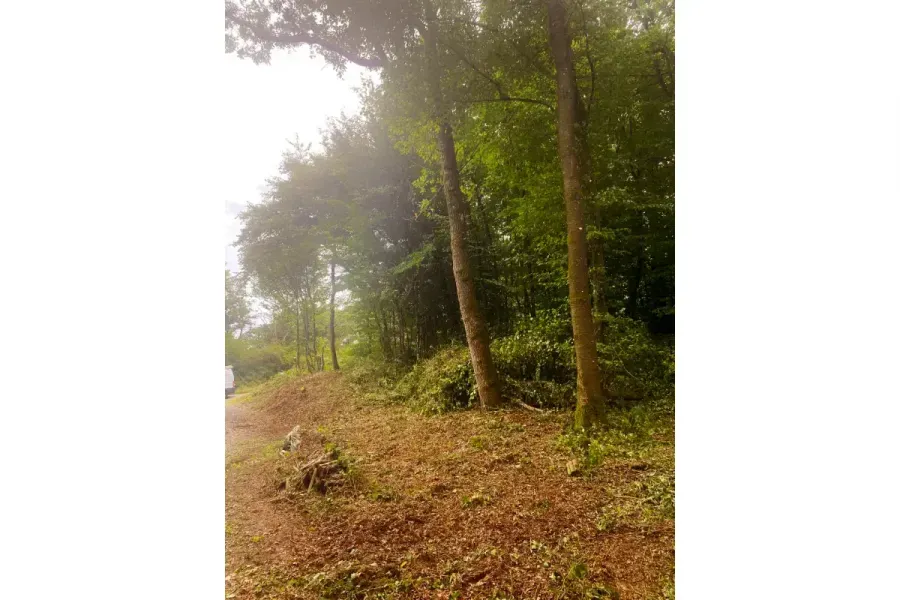 Land in Philippeville