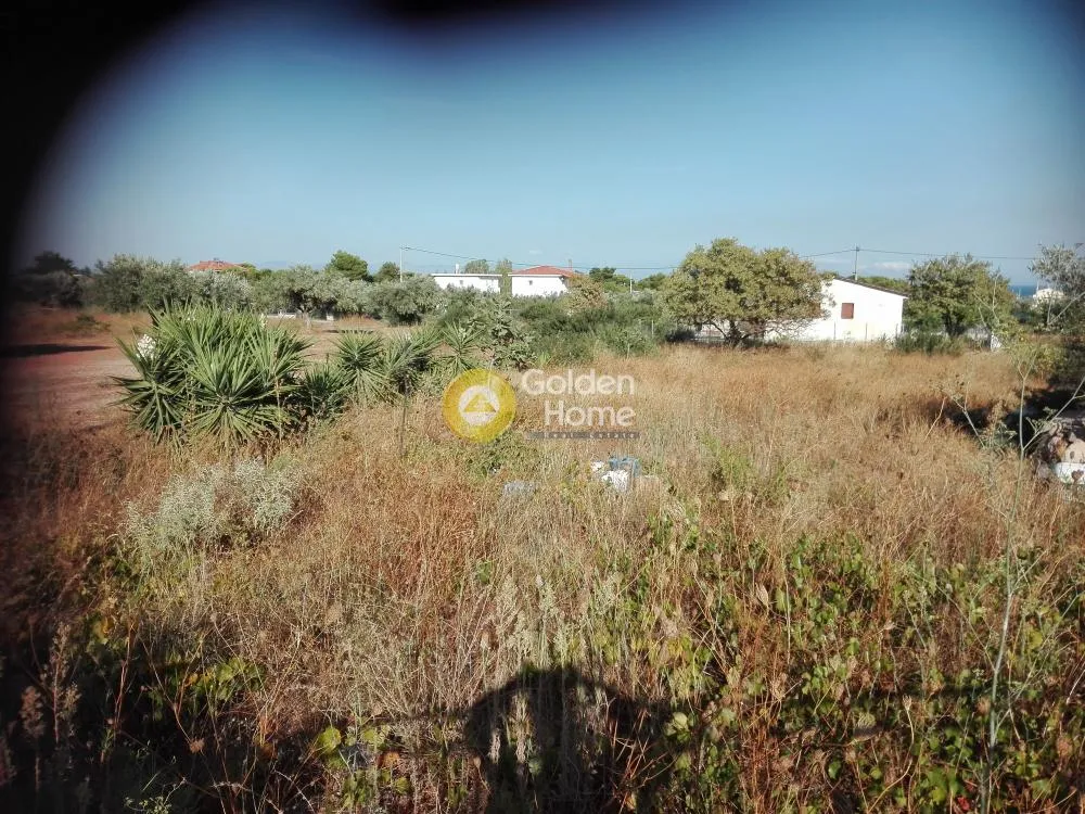 Jardin - Plot with Mountain View in Spata - Agia Kyriaki