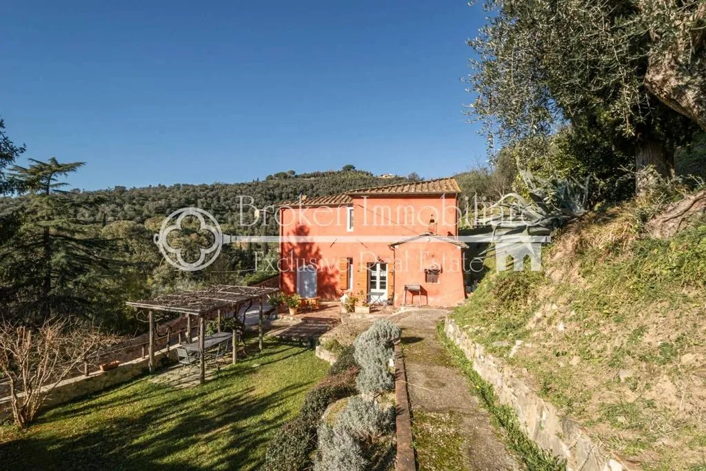 Exterior - Rustic Villa with Olive Grove in Massarosa