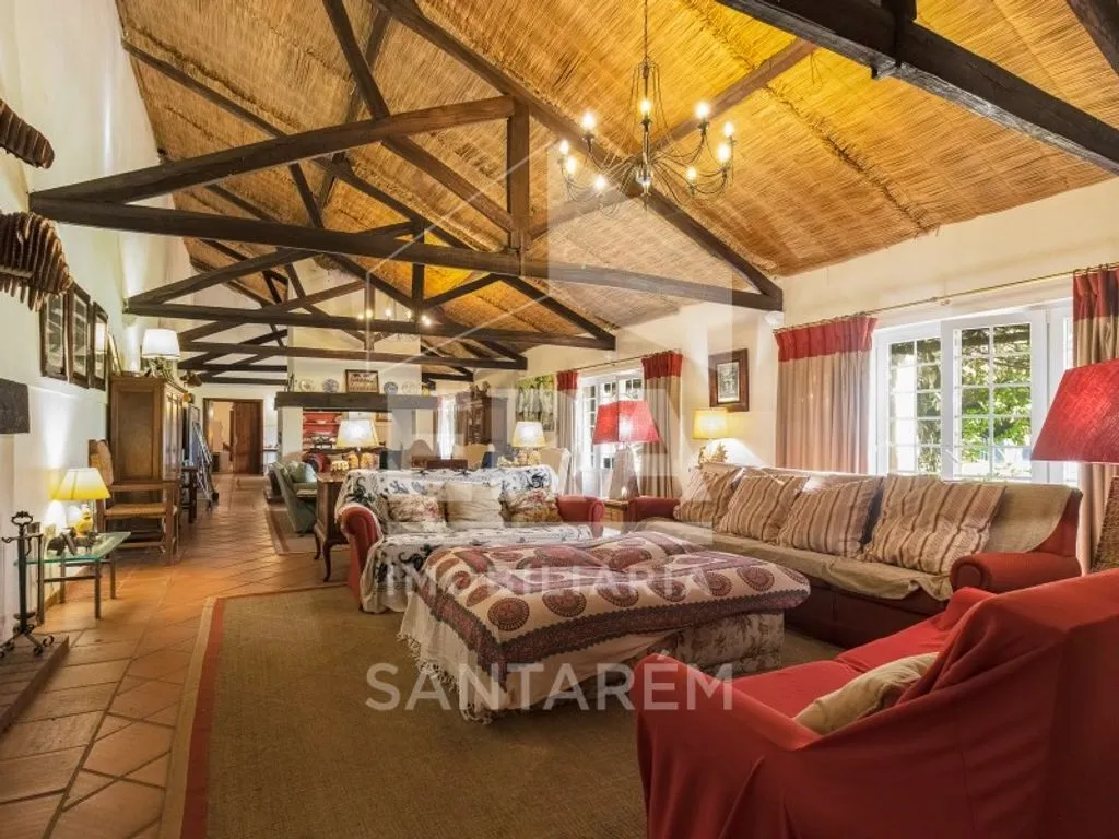 Séjour - Luxury House with Agricultural Land in Benfica do Ribatejo