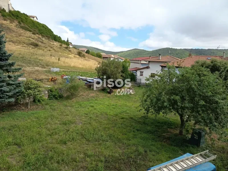 Garden - Palatial House with Garden in Larumbe