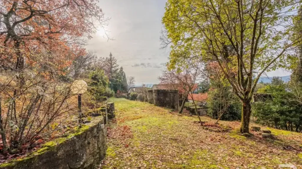 Jardin - Rustic House with Olive Grove in Selvapiana