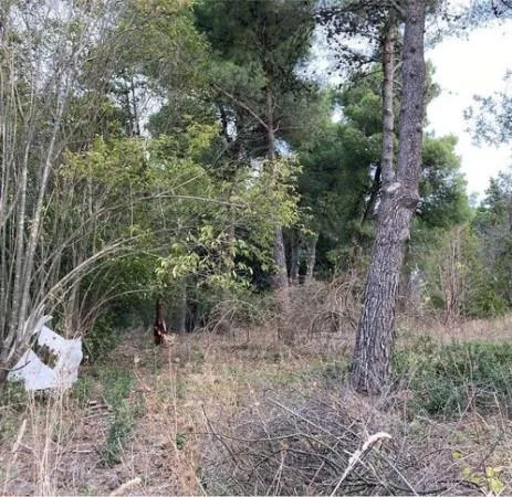 Rustic Villa with Large Garden in Offagna
