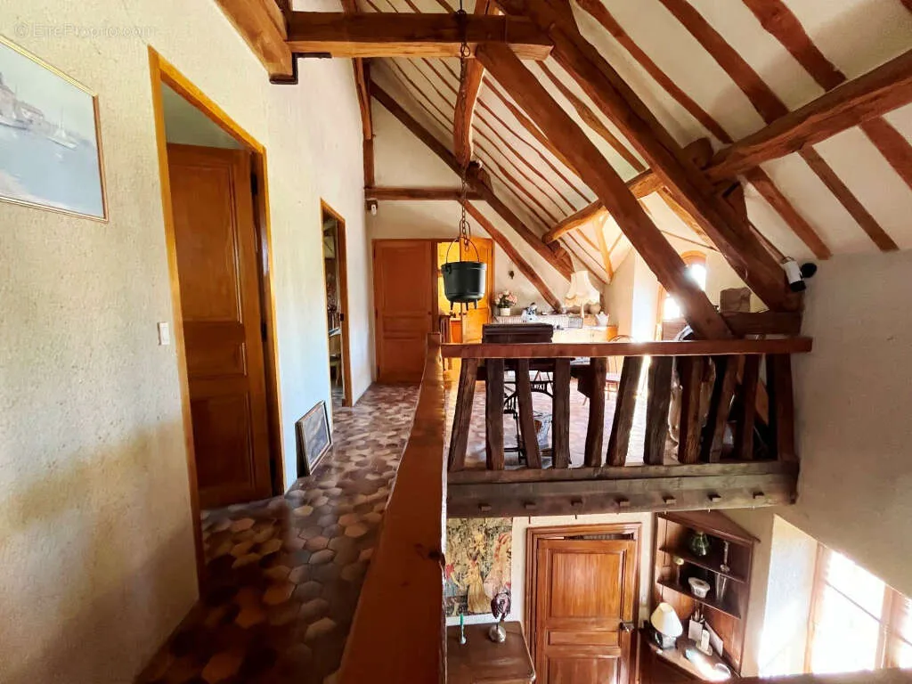 Toad - Charming Two-Home Property with Garden in Sens