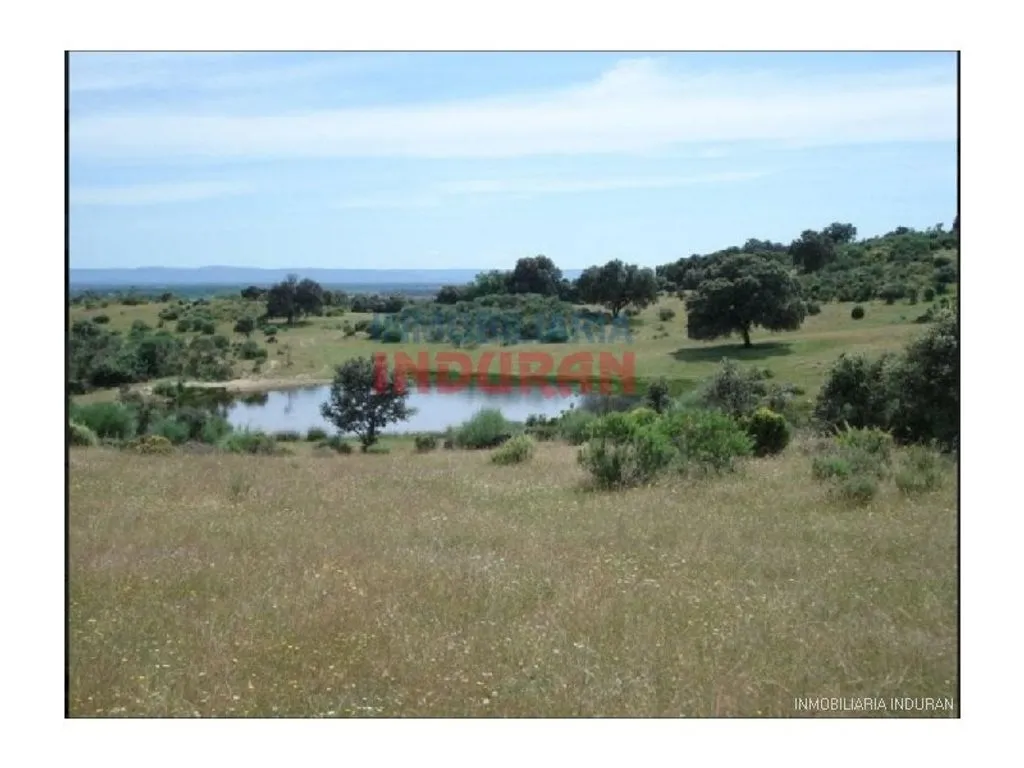 Aed - Luxury Villa with Extensive Land in Cáceres